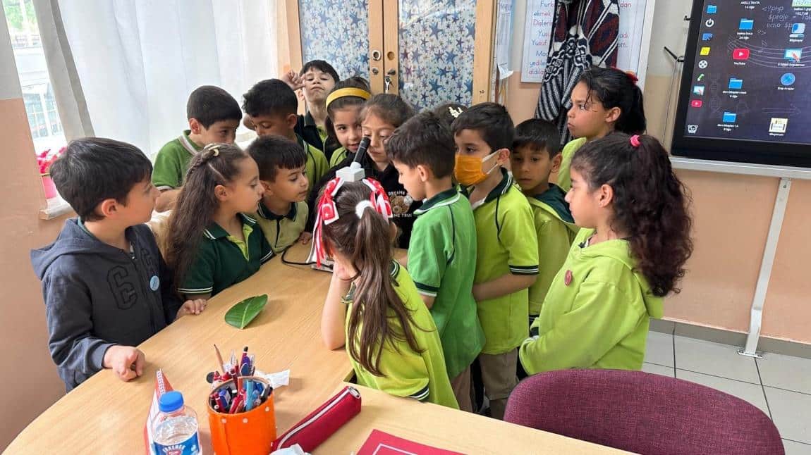 1A Sınıfı Mikroskopla tanıştı.